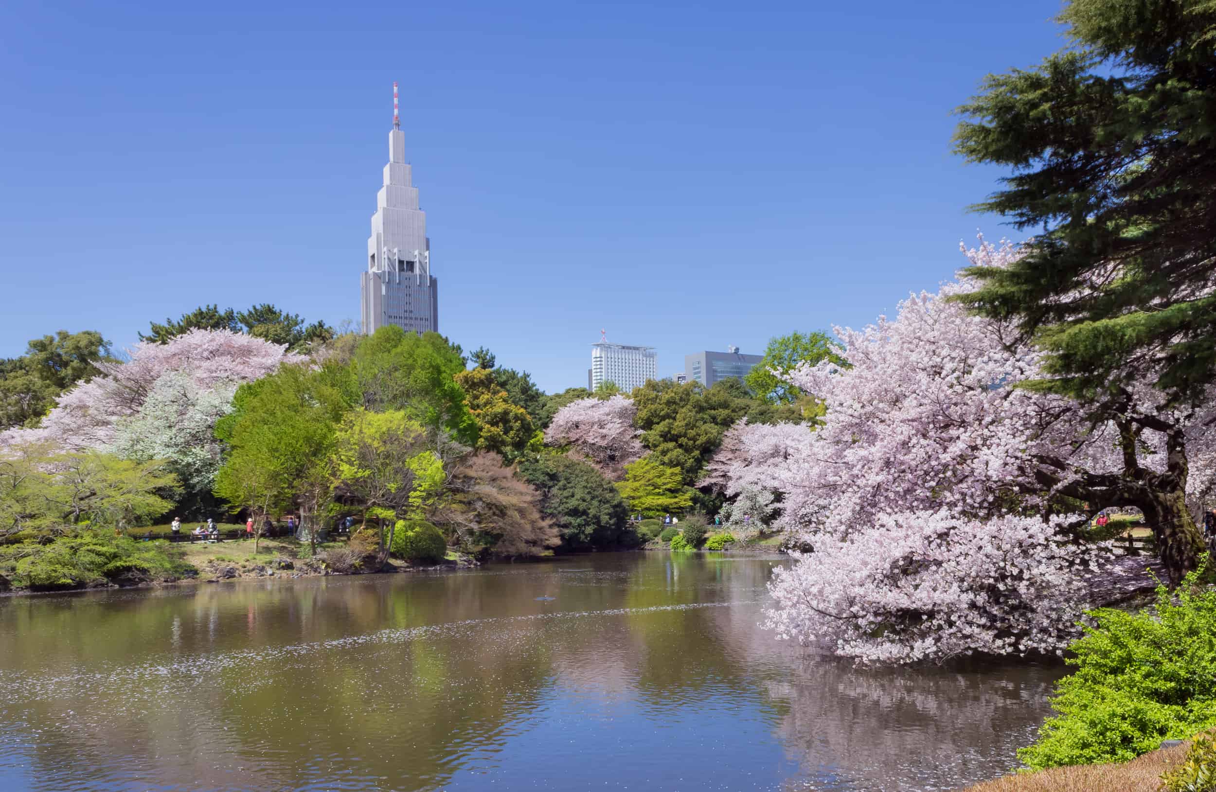 visit the Shinjuku Gyoen National Garden