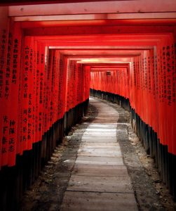 things to do in kyoto