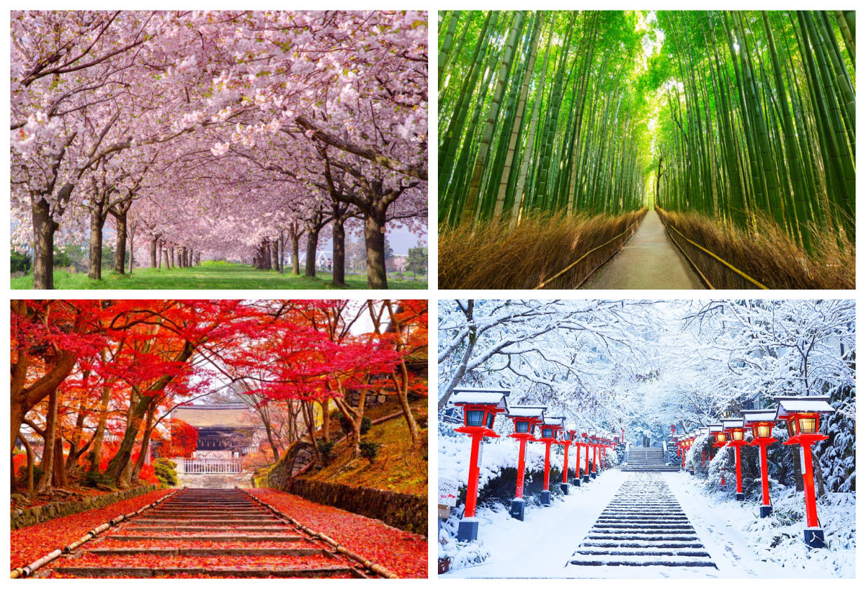 when is best time to visit japan
