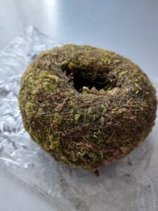 Moss Ball Planter photo review