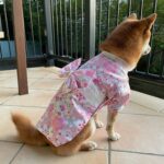 Dog Kimono photo review