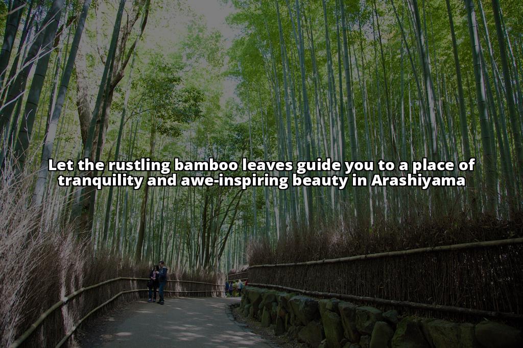 Arashiyama Bamboo Grove Travel Guide