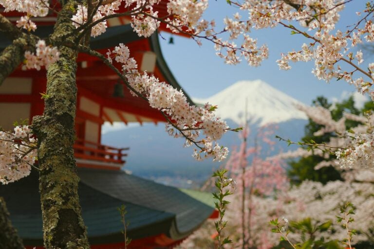 Stunning view of Chureito Pagoda with cherry blossoms framing Mount Fuji in spring.