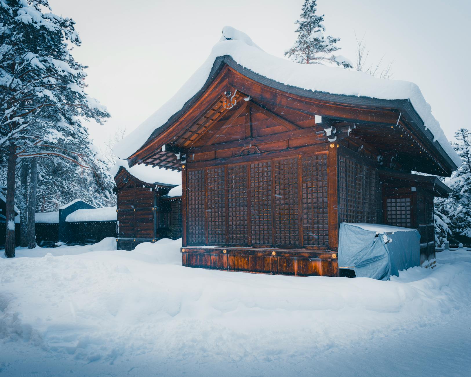 Japan in Winter: What to Expect and Why It’s Worth It